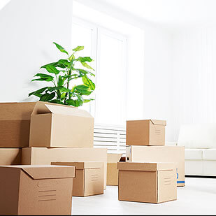 Move In / Move Out